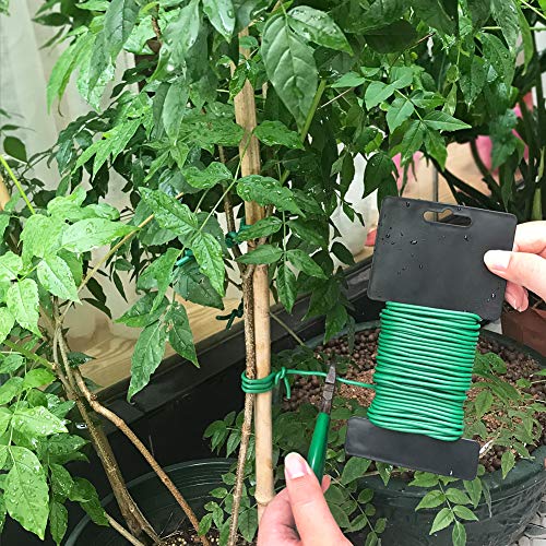 Shintop 2.8mm Plant Twist Ties, 2PCS Garden Wire for Tomatoes (65.6 Feet) - color: Green, size: 2.8mm