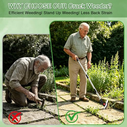 3 in 1 Crack Weeder Tool Long Handle