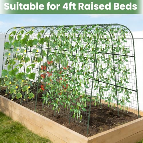 Cucumber Trellis, Metal Garden Arch Trellis for Raised Bed, 48 x 48inch U-Shape Garden Trellis for Climbing Plants Outdoor, Vegetables Fruit Plant Support with Netting, Gardening Supplies (Green) - size: 48 x 48 inch