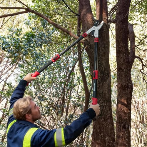 HAUTMEC Anvil Loppers for Tree Trimming Heavy Duty, Extendable 27-37'' Garden Loppers with Compound Action System, 2" Cutting Capacity,with replacement blades, HT0461 - color: Loppers & Blade