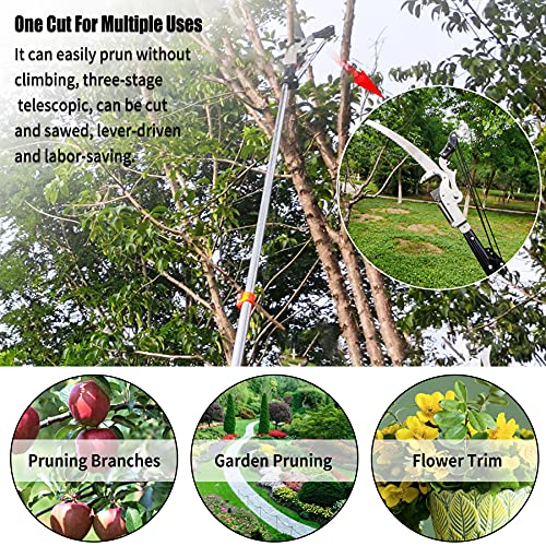 BAYTORY Extendable Tree Pruner Shears Head and Saw without Pole