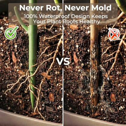 10-Piece Thick Plant Support Stakes: Stackable for Monstera Climbing Vines