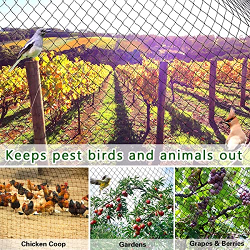 OGORI 25' x 50' Bird Netting Heavy Duty Nylon 3/4" Mesh Garden Netting Protect Fruit Trees, Plants and Vegetables - size: 25'×50'-3/4''