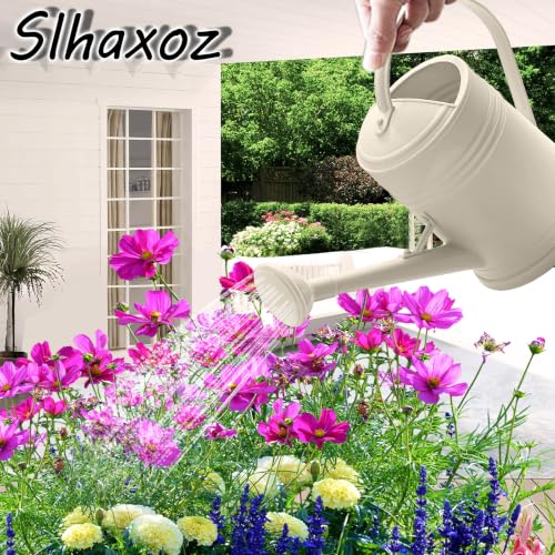 2L Watering Can Pitcher Water Pot, 2-in-1 Pour/Shower (Beige) - color: Beige