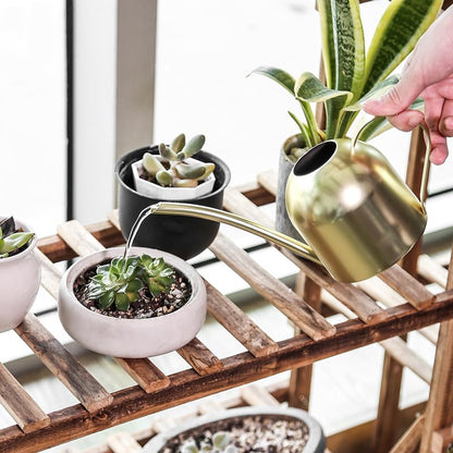 Gold Watering Can for Indoor Plants, 450ml/15oz Metal - size: Gold 15 oz
