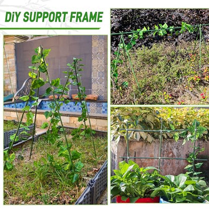 50Pcs 2ft Bamboo Sticks for Indoor Outdoor Plants, 0.29"-0.38" Natural Bamboo Poles, Durable Garden Stakes for Tomatoes, Beans, Flowers and Potted Plants - size: 2FT 50PCS