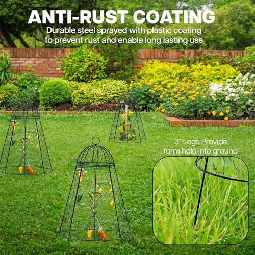 Life Finds Chicken Wire Garden Cloche Set, 6 Pack, LF-GC6P