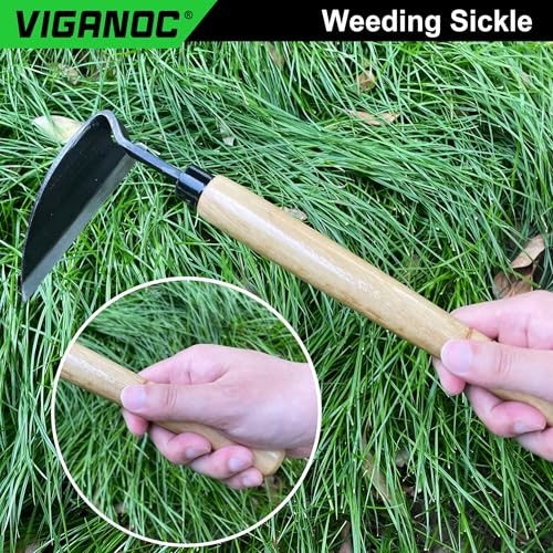 Japanese Wide Blade Garden Tool - Premium Quality Hand Hoes/Weeding Sickle is Very Sharp for Quick Work - size: Long Handle