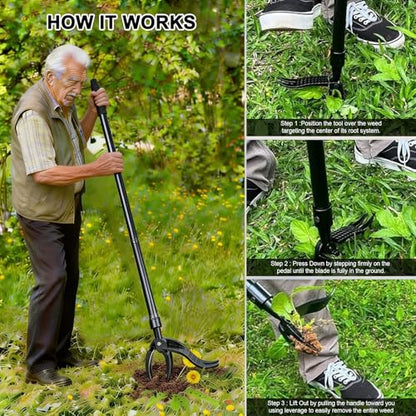 Manual Weed Puller Tool - Stand Up Weeder with 4-Claw Head & 3-Section Long Handle, Permanently Remove Dandelions with Roots, No Bending for Seniors, Lawn & Garden Tool