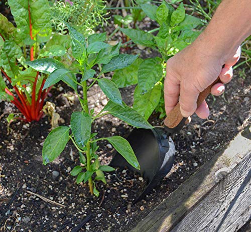 Garden Tool Set, 5 Pieces, Heavy Duty Powder Coated Steel, Cork Handle