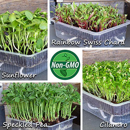 Mountain Valley Seed Co Self-Watering Indoor Microgreen Kit Complete Soil - size: Soil