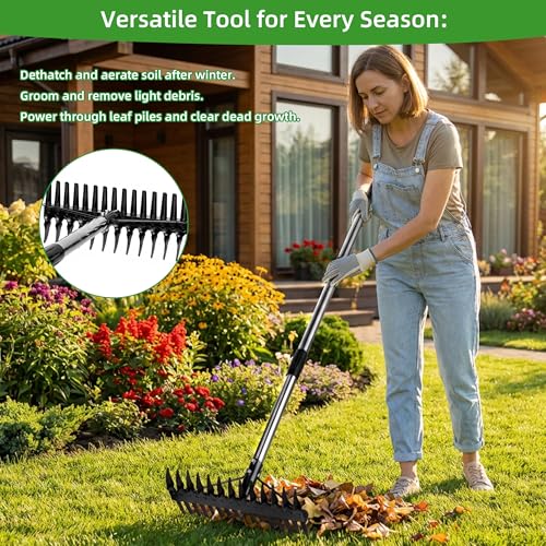 Thatch Rake for Lawns 36-63" Stainless Steel Adjustable Handle