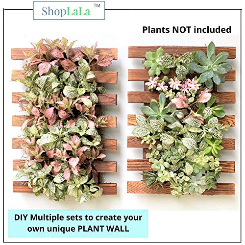 ShopLaLa Wooden Wall Planter (40cm, 4 Pack) Hanging Planters for Indoor - size: 40cm (15.7") x 4
