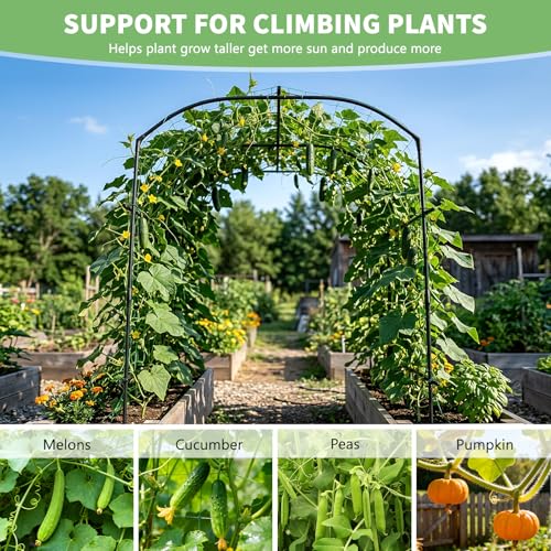 DoCred Garden Arch Trellis, 87''H x 75''L Metal Trellis for Climbing Plants - size: 75" L x 71" W x 87" H
