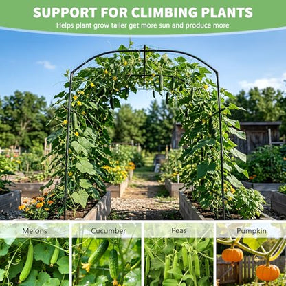 DoCred Garden Arch Trellis, 87''H x 75''L Metal Trellis for Climbing Plants - size: 75" L x 71" W x 87" H