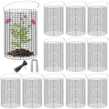 12 Sets of 16'' x 12'' Garden Plant Protectors from Animals With Detachable Covers ,36Pcs Metal Wire Protectors With Cover for Plants , Metal Plant Cage Chicken Wire Cloche with Stakes & Nylon Ties
