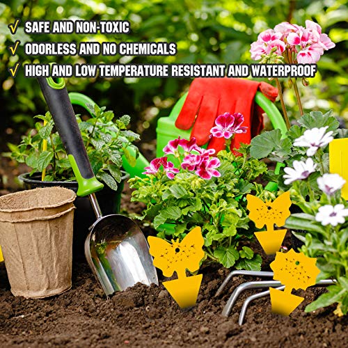 96PCS Fruit Fly Sticky Traps, Gnat Traps Insect Trap for Plants Kitchen Indoor and Outdoor (Pack of 2) - size: 96 Pieces Yellow (Pack of 2)