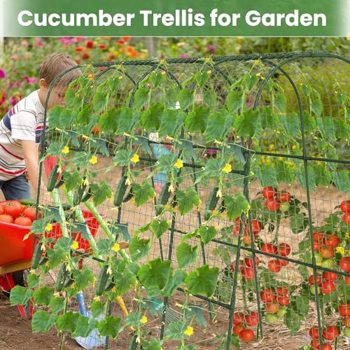 Cucumber Trellis, Metal Garden Arch Trellis for Raised Bed, 63 x 48inch U-Shape Garden Trellis for Climbing Plants Outdoor, Vegetables Fruit Plant Support with Netting, Gardening Supplies (Green) - size: 63 x 48 inch