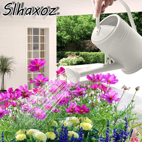 2L Watering Can Pitcher Water Pot, 2-in-1 Pour/Shower (White) - color: White