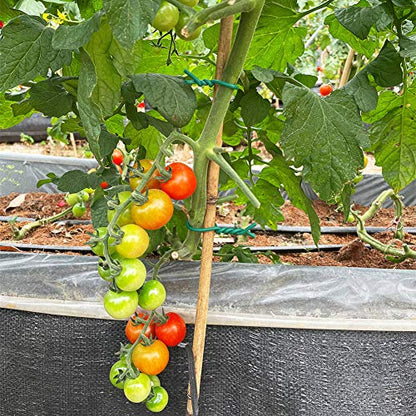 Tenn Well 2Pk 32ft 5mm Green Plant Ties Soft Garden Wire for Tomatoes - color: Green, size: 5mm
