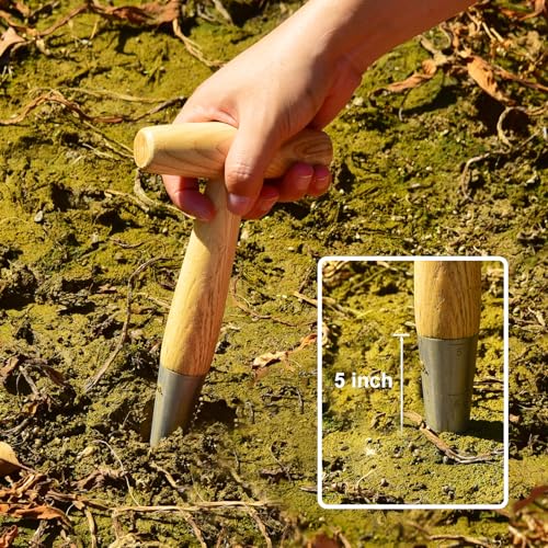 Seed Dibber Hand Garden Tool, Bulb Planter Digging Holes