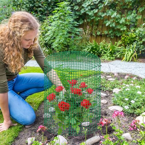 4 Sets 13"x 16" Wire Plant Protector from Animals, Plant Protector Cages - color: Green-4pcs