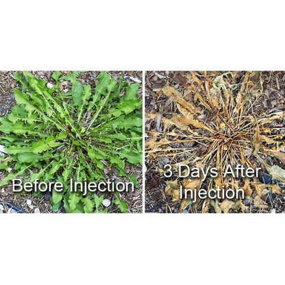 Dandelion Weeder Tool-Manual Weeder, Hand Weeder/Puller Alternative- Dandelion Illimination-Inject Root with Vinegar- Attach to Garden Sprayer-No Digging, Pulling, No Holes to Repair-Patent Pending