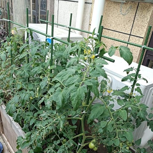 6Ft 72inch Garden Stakes Sturdy Plant Sticks Support Tomato Stakes for Vegetable,Pack of 20 - size: 6Ft-20 Pcs