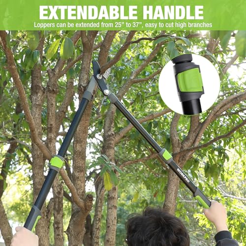 WORKPRO Extendable Anvil Lopper, 25"-37" Branch Cutter with Gear Mechanism - size: 25"-37"
