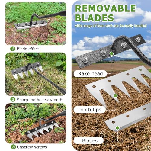 Gardenia Iron Weeding Rake with Long Wooden Handle, No Frequent Tightening