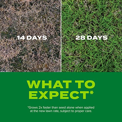 Scotts Turf Builder Rapid Grass Bermudagrass, 4 lbs. - size: 4 lb.