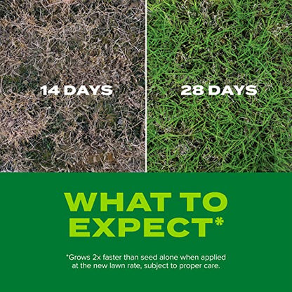Scotts Turf Builder Rapid Grass Bermudagrass, 4 lbs. - size: 4 lb.