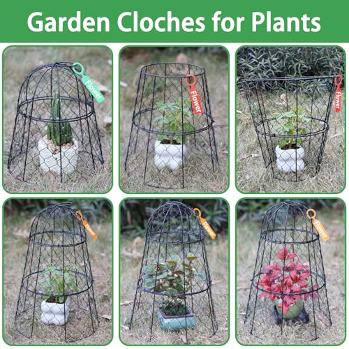 6 PCS 17.7"H X 11.42"D Garden Cloches,Chicken Wire Plant Covers Protectors Modular Design for Customizable Protection,Rust-Proof Heavy Duty Metal Plant Cage for Seedlings Flowers Protect from Animals