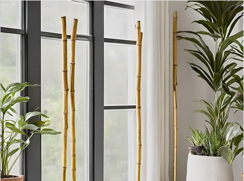 SuperMoss (12422) Bamboo Sticks, Mahogany, 36 (6 pack)" - color: Mahogany, size: 36" (4 pack)