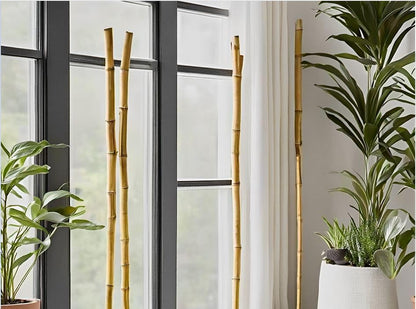 SuperMoss (12422) Bamboo Sticks, Mahogany, 36 (6 pack)" - color: Mahogany, size: 36" (4 pack)