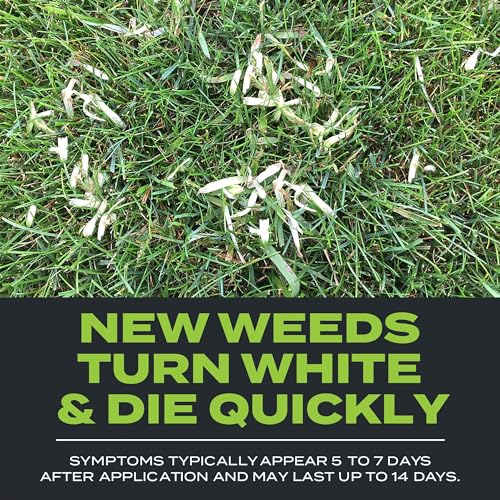 Scotts Turf Builder Triple Action Built for Seeding, 4.3 lbs. - size: 1,000 sq. ft., style: Triple Action