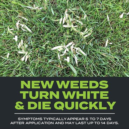 Scotts Turf Builder Triple Action Built for Seeding, 4.3 lbs. - size: 1,000 sq. ft., style: Triple Action
