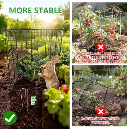 Metal Plant Cages for Outdoor Plants, Garden Cloches for Plants 4 Pack - color: 4 PCS