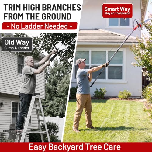 Suchtale 10FT Pole Tree Pruner for High Branch Trimming with Saw - size: 10FT