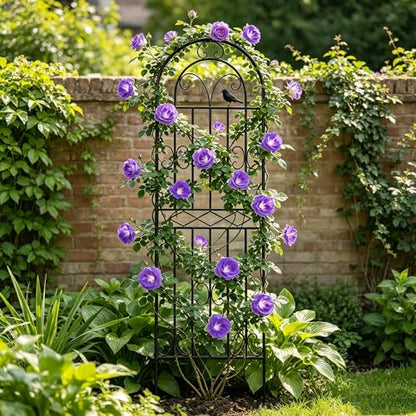 2 Pack 59"x19.7" Metal Gardon Trellis for Climbing Plants Flowers Outdoor, - size: 2P: 59" H x 19.7" W