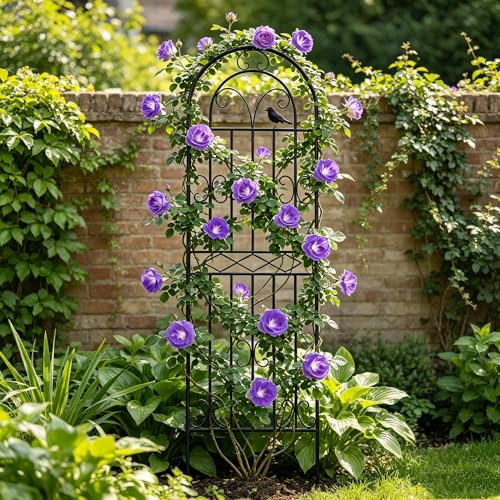 2 Pack 78.7"x19.7" Metal Gardon Trellis for Climbing Plants Outdoor, - size: 2P: 78.7" H x 19.7" W