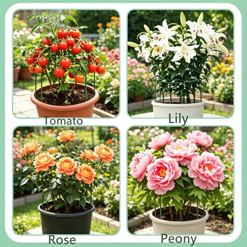 DAYUMKOU 4 Pack Peonies Cages and Supports, 11.5" Wide x 12" High - size: ZWJZ-LVS-4PC-29.21x30.48