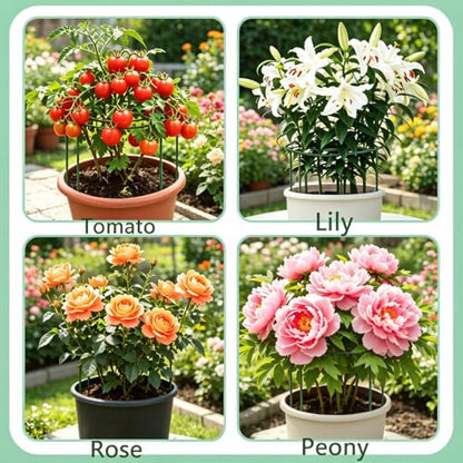 DAYUMKOU 4 Pack Peonies Cages and Supports, 11.5" Wide x 12" High - size: ZWJZ-LVS-4PC-29.21x30.48