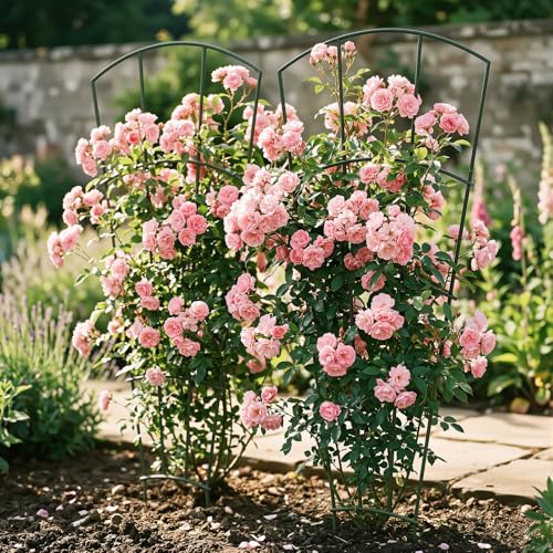 Thealyn 56" Tall Metal Plant Trellis, Climbing Plant Support, 4 Pack, Green - color: Green, size: 56 inch