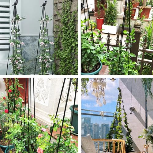 2 Pack Garden Trellis for Climbing Plants,63inch Tall Plants Trellis Support with Adjustable Stake Arms,Plastic Coated Rustproof Metal Pipe Supports for Outdoor Indoor, Potted Plants, Tomato, Rose - size: 2 Pack