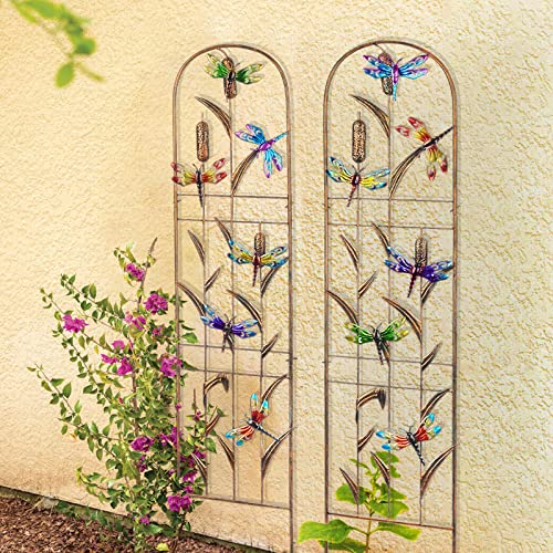 2 Pack Metal Garden Trellis for Climbing Plants - color: Dragonfly