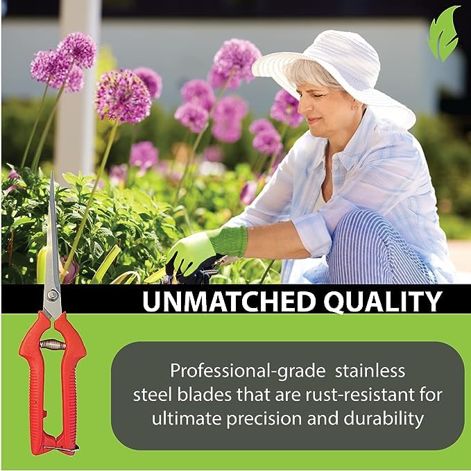 Garden Guru Extra Long Stainless Steel Pruner Pruning Shears Clippers Snips Sharp Bonsai Cutter Plant Trimming Scissors Straight Blade Garden Scissors Tool Great for Roses Flowers Herbs Fruits(2 Pack) - size: 2 Pack, style: Long Blade Snips