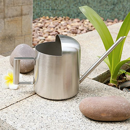 Mini Watering Can, 10oz/300ml Stainless Steel Long Spout Small Watering Can for Indoor Plants Succulents, Herbs (Silver) - color: Silver