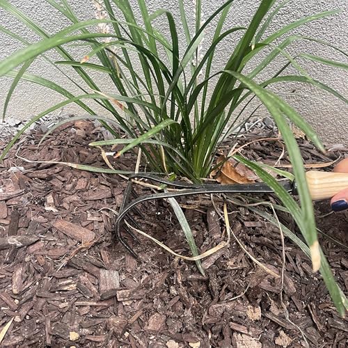 DeWit Bio Rake Cultivator – Garden Hand Tool with Hardened Boron Steel Tines & Ash Hardwood Handle