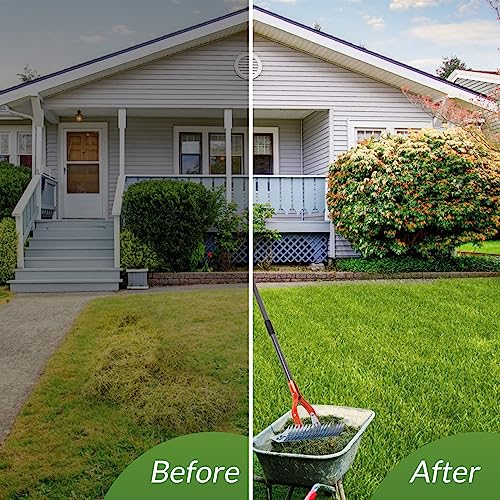 Walensee 15-Inch Thatch Rake for Lawn, 19-Tine Dethatcher, 70-Inch Handle